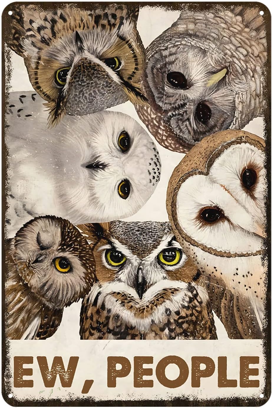 Funny Metal Sign Owl Retro Tin - Home Bar And Kitchen ulasan dan harga